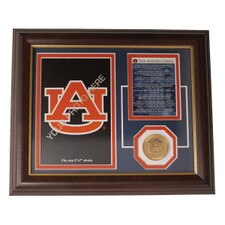 auburn 5x7 medallion frame