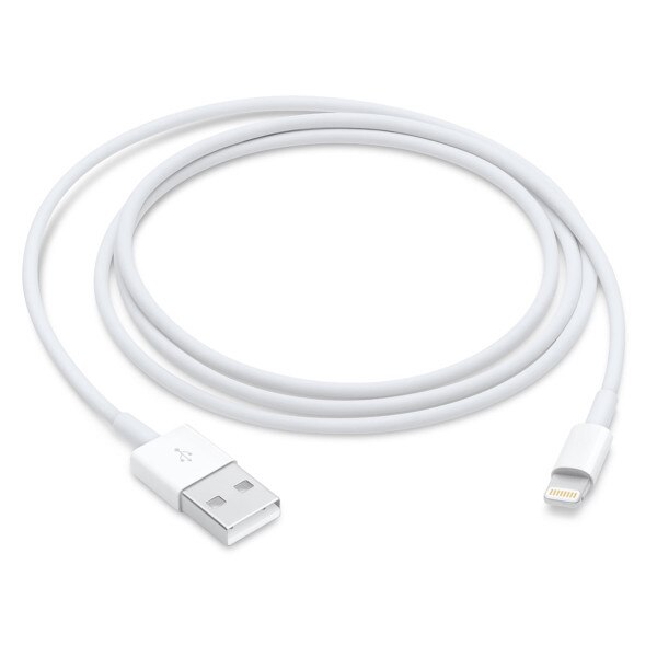 Apple lightning to USB cable 1 m